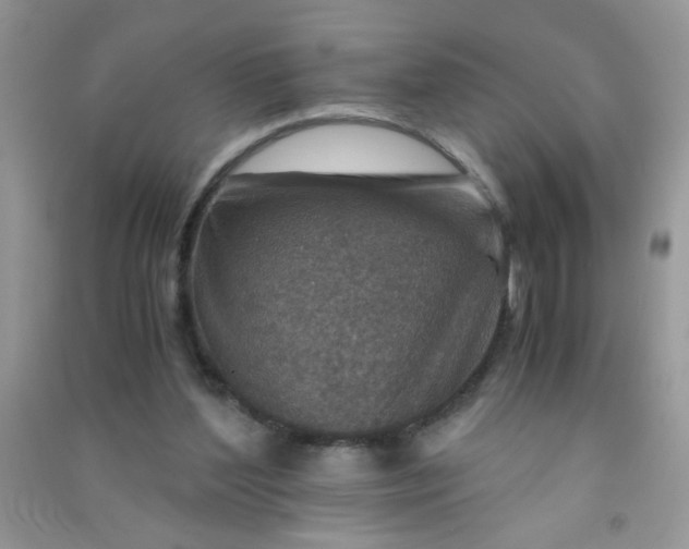 X0000091010204200708162005