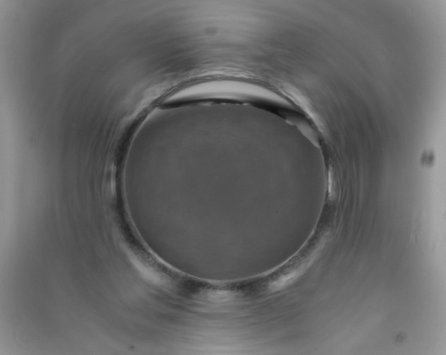 X0000091010205200708162005