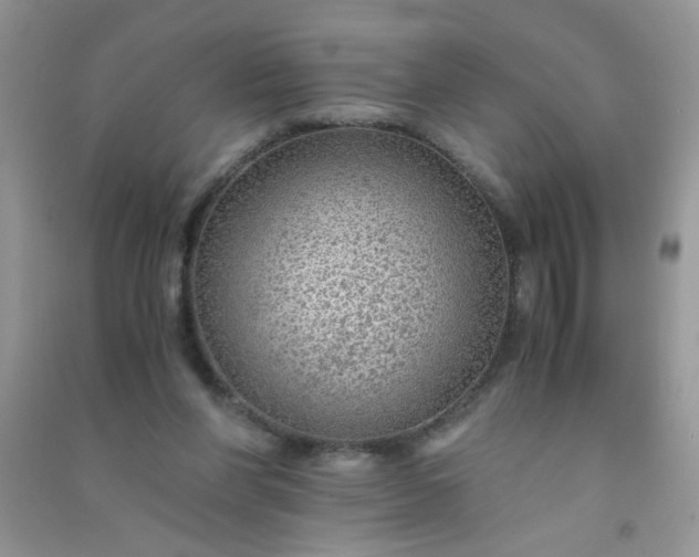 X0000091010206200708162005