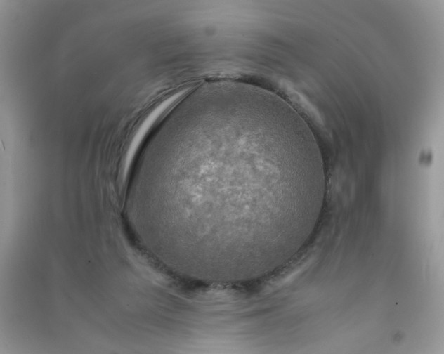 X0000091010209200708162005