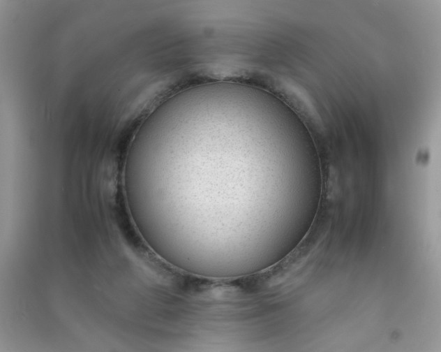 X0000091010210200708162005