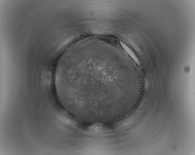 X0000091010211200708162005