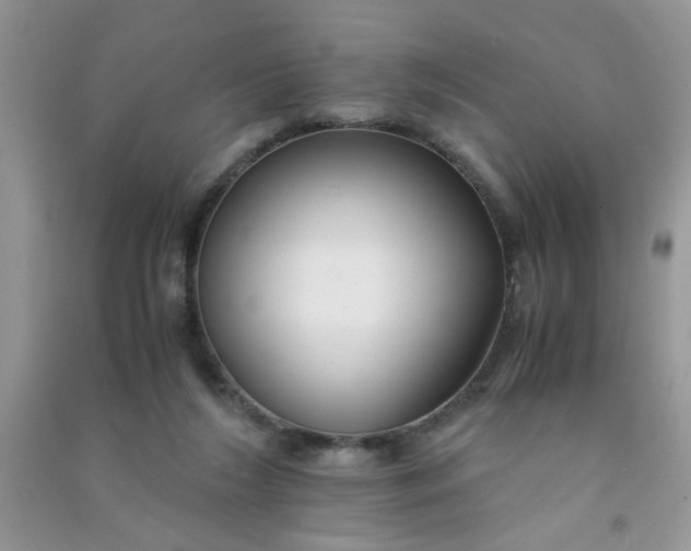 X0000091010212200708162005