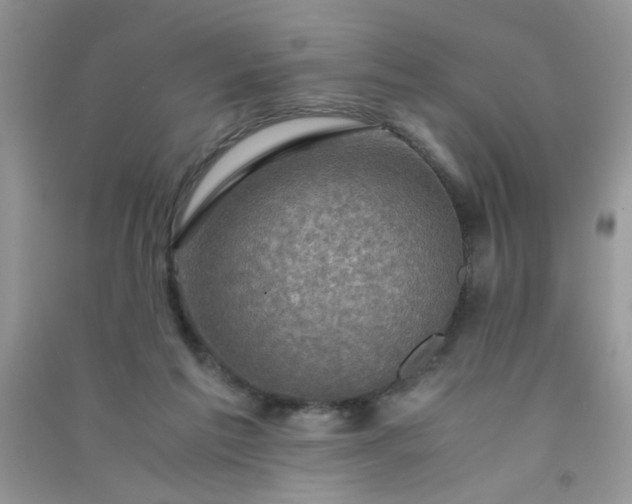 X0000091010213200708162005