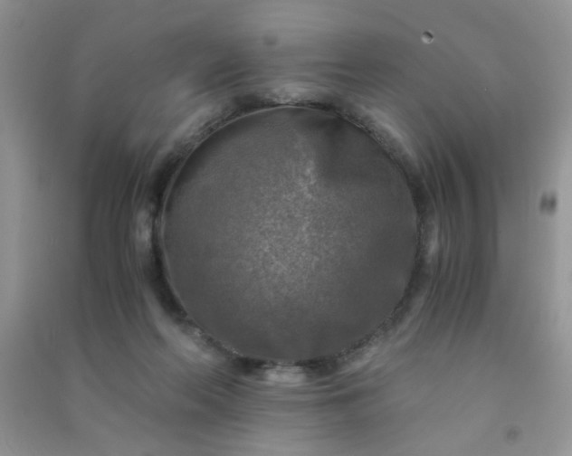 X0000091010214200708162005