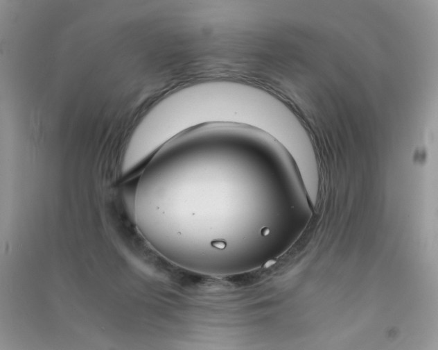 X0000091010215200708162005