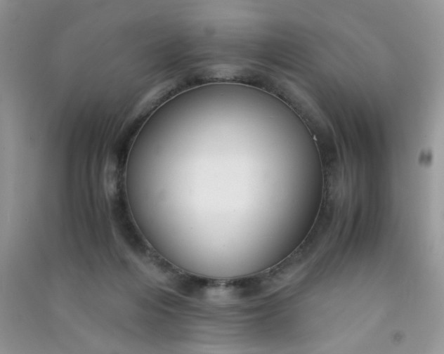 X0000091010216200708162005