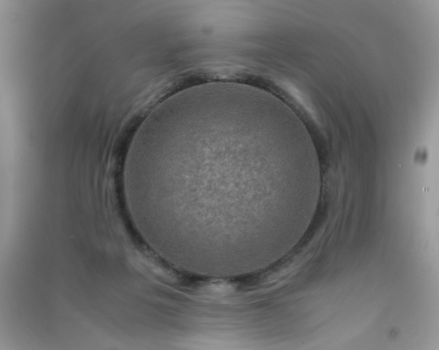 X0000091010217200708162005