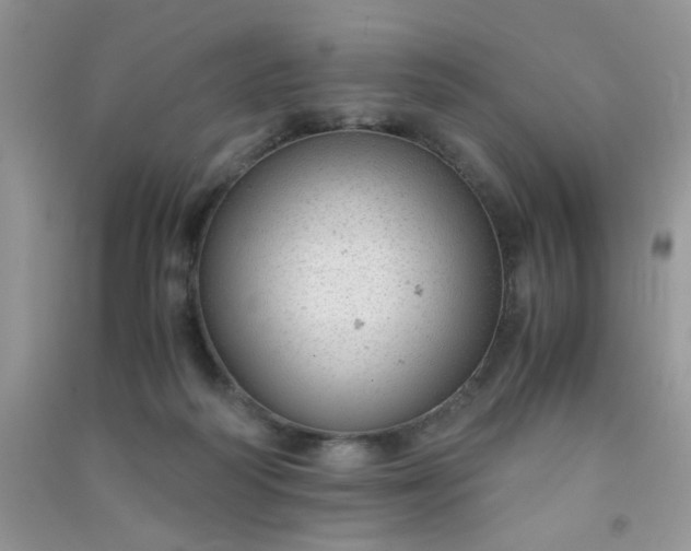 X0000091010218200708162005