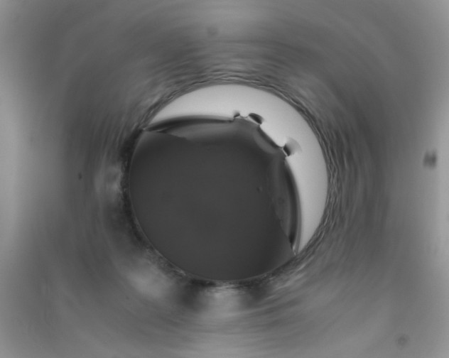 X0000091010219200708162005