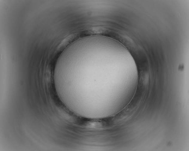 X0000091010220200708162005