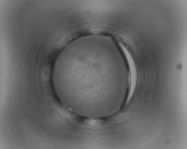 X0000091010221200708162005