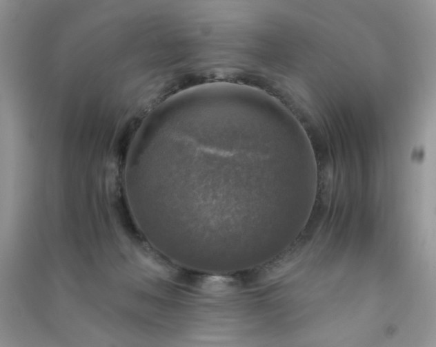 X0000091010222200708162005