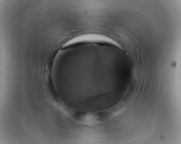 X0000091010223200708162005