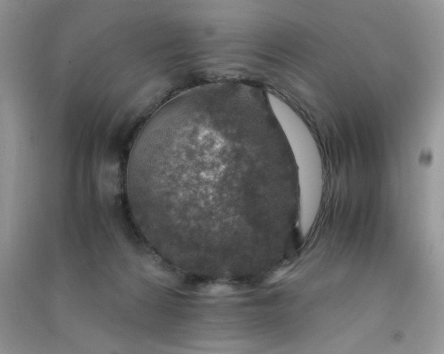 X0000091010224200708162005