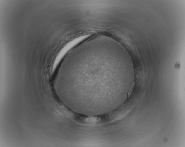 X0000091010225200708162005