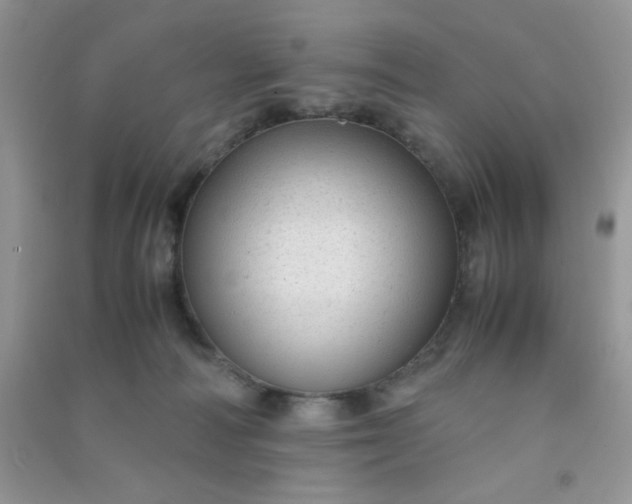 X0000091010226200708162005