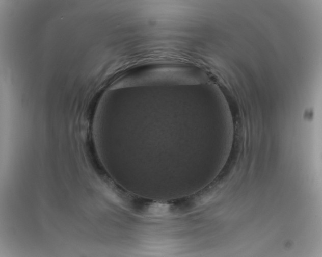 X0000091010227200708162005