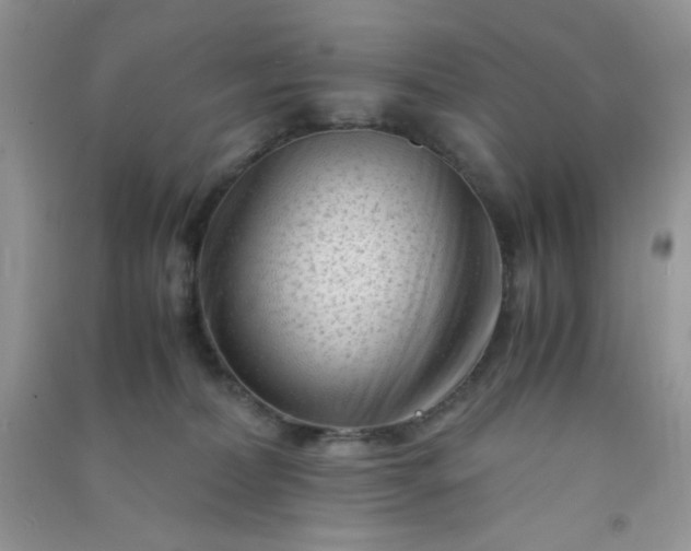 X0000091010228200708162005