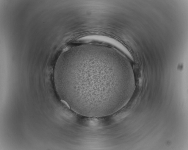 X0000091010229200708162005