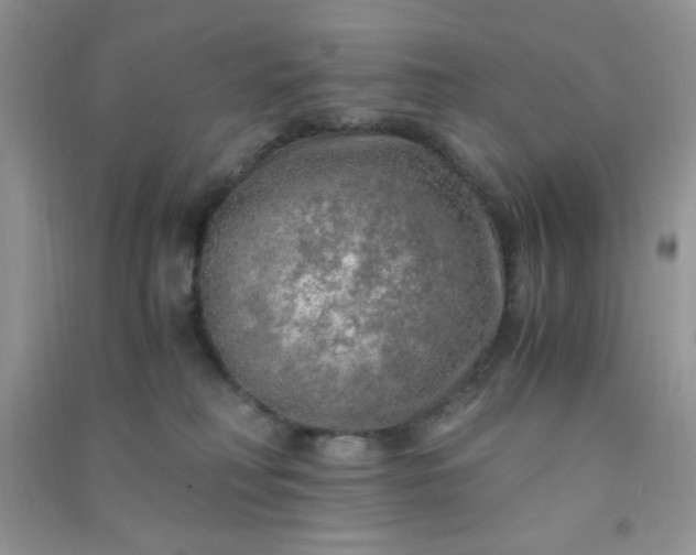 X0000091010230200708162005