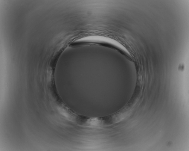 X0000091010231200708162005