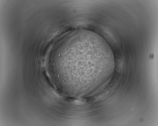 X0000091010232200708162005