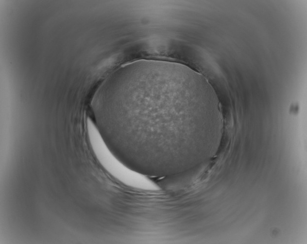 X0000091010233200708162005