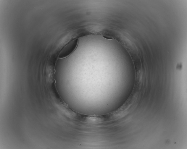 X0000091010234200708162005