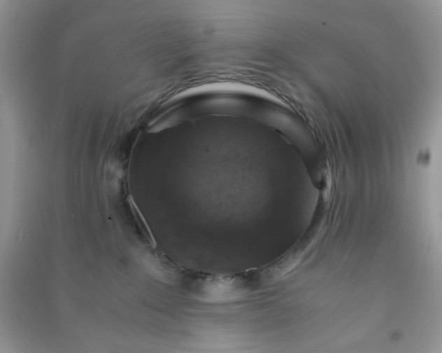 X0000091010235200708162005