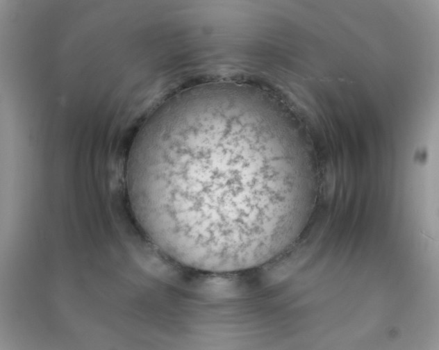 X0000091010236200708162004