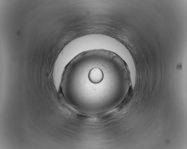 X0000091010237200708162004