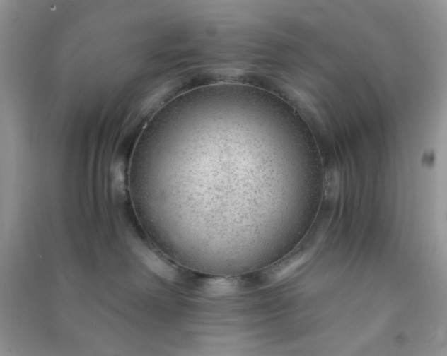 X0000091010238200708162004