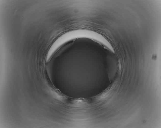 X0000091010239200708162004