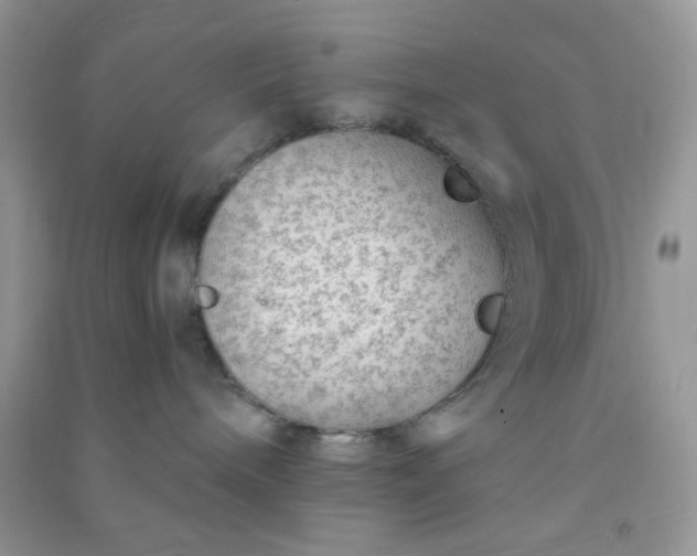 X0000091010240200708162004