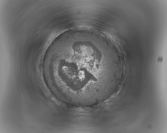 X0000091010241200708162004