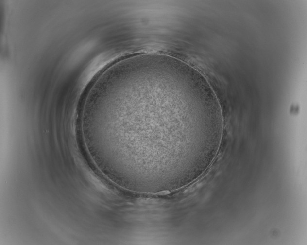 X0000091010242200708162004