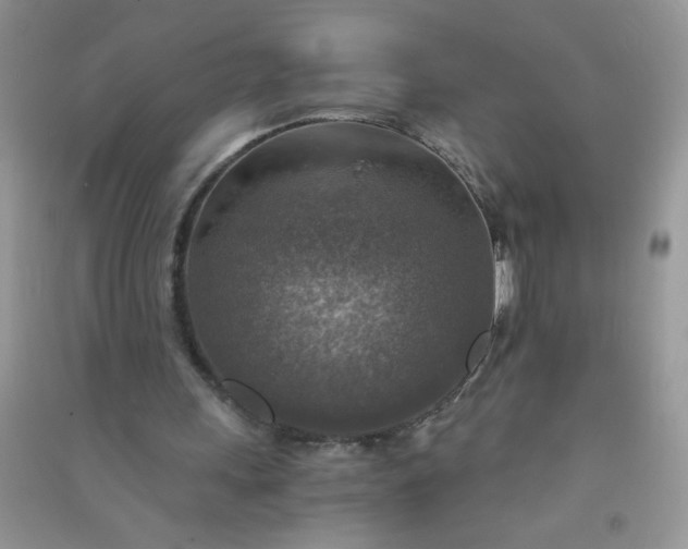 X0000091010243200708162004