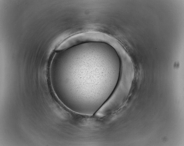 X0000091010244200708162004