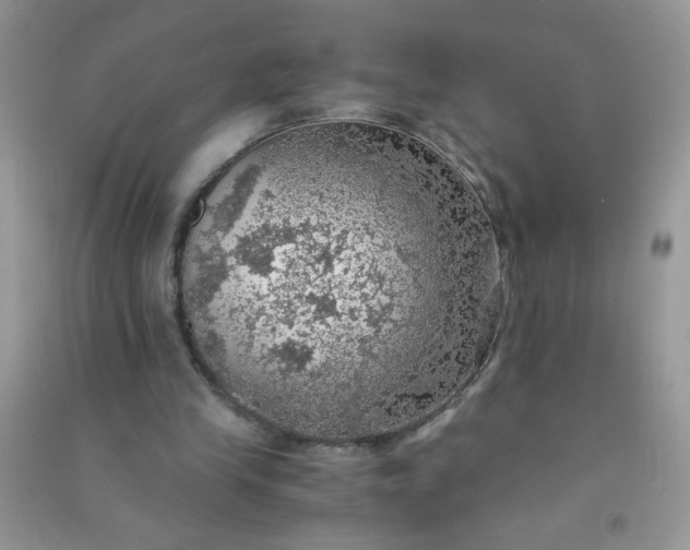 X0000091010245200708162004