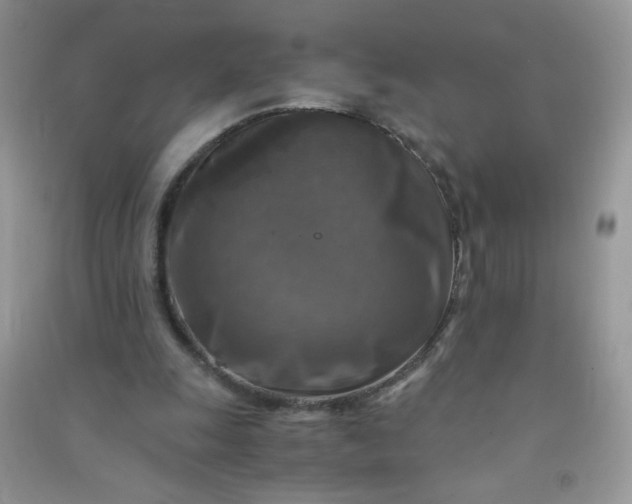 X0000091010247200708162004