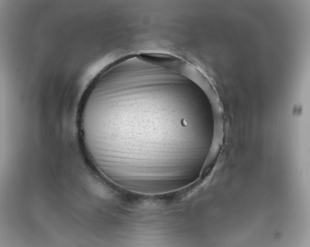 X0000091010248200708162004