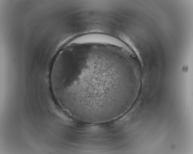 X0000091010249200708162004