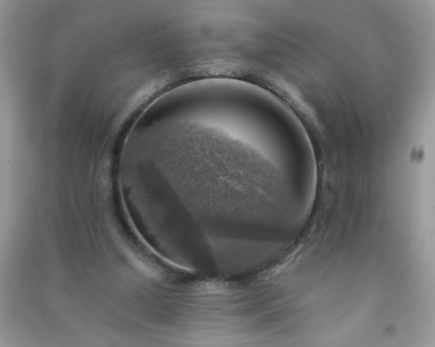 X0000091010250200708162004