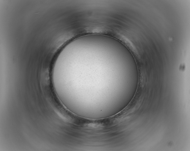 X0000091010251200708162004