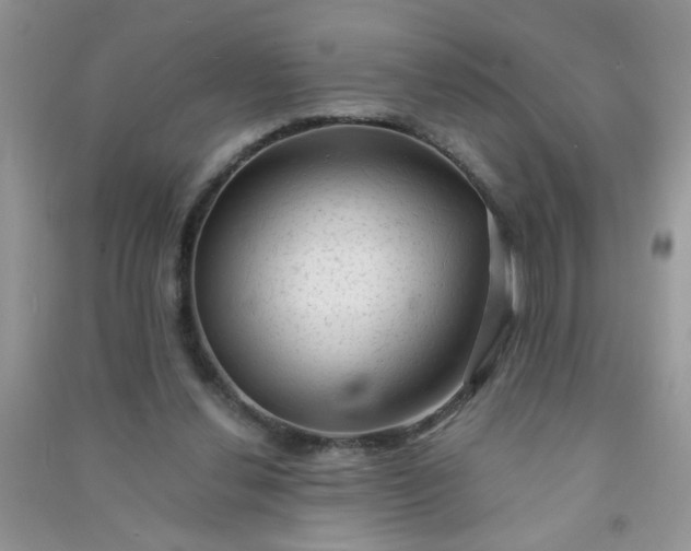 X0000091010252200708162004