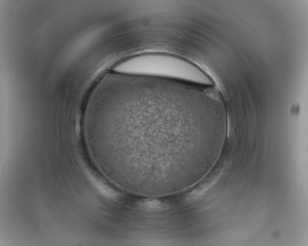 X0000091010253200708162004