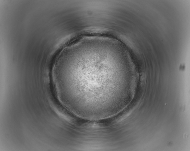 X0000091010254200708162004