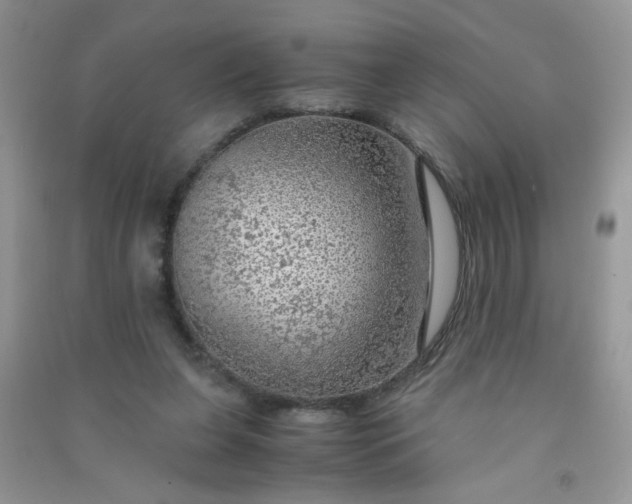 X0000091010255200708162004