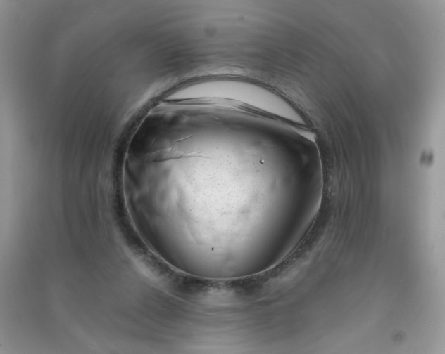 X0000091010256200708162004